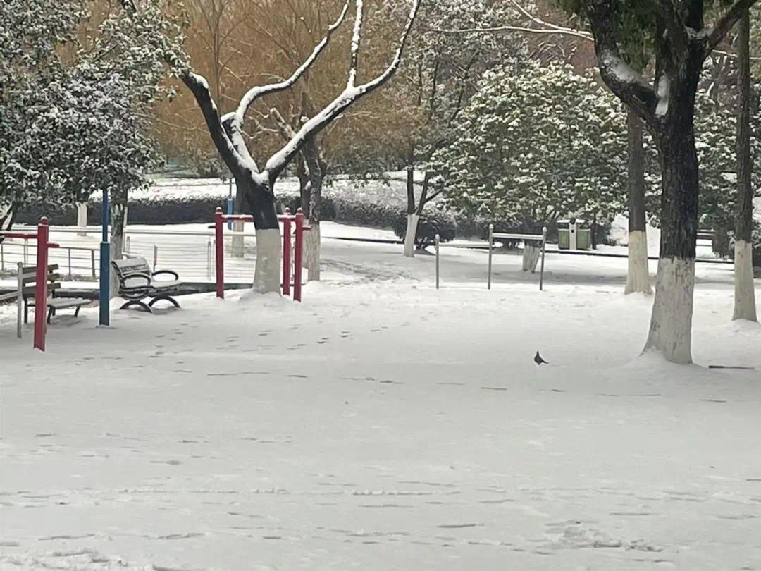 雪中公园.jpg