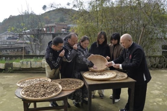 点击查看原始图片