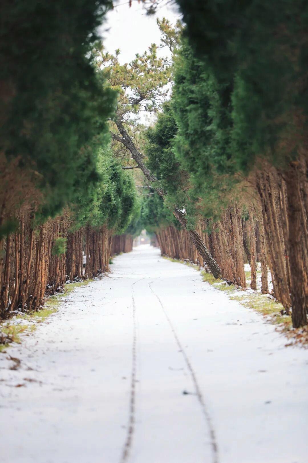 赵洪强 日照海滨国家森林公园/摄