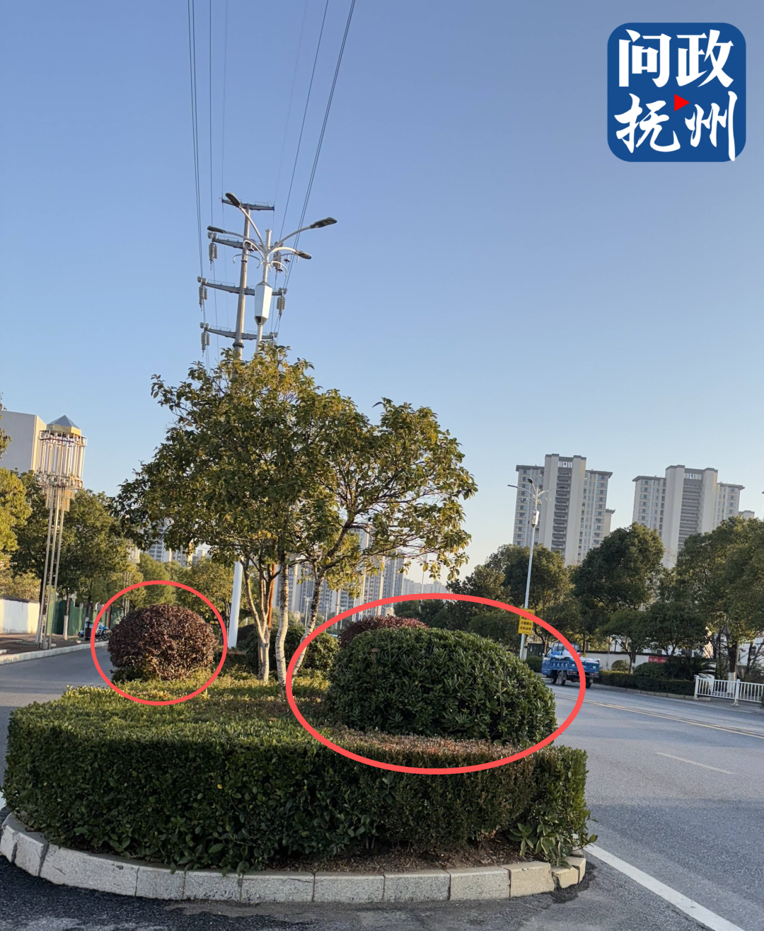 ▲图片由网友提供