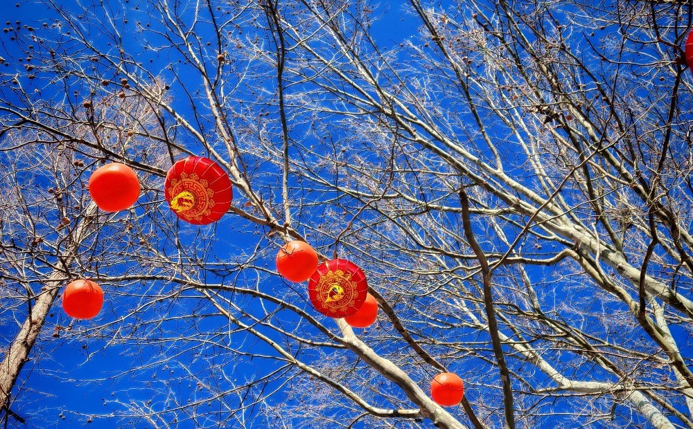 大明湖畔灯笼红 泉城迎春氛围渐浓