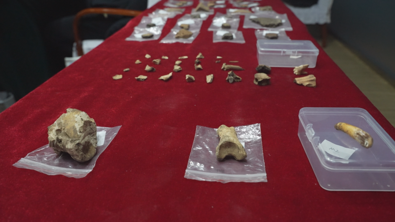 新开流遗址考古调查勘探项目考古文物