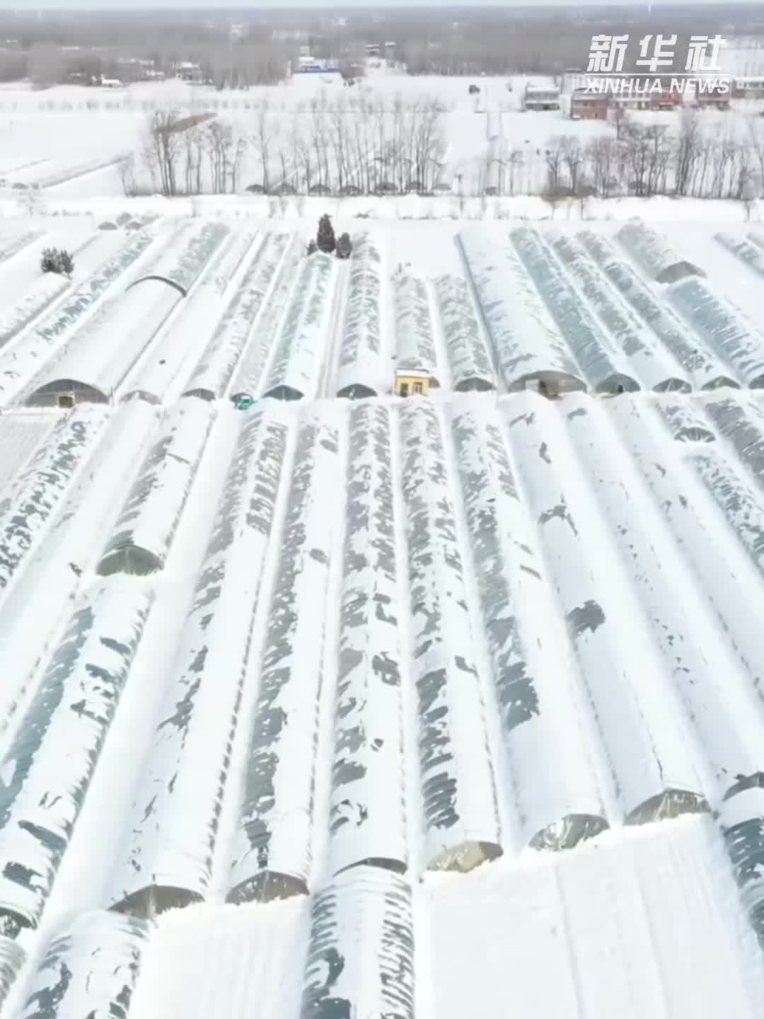 迎战今年首场寒潮 各地保民生护畅通