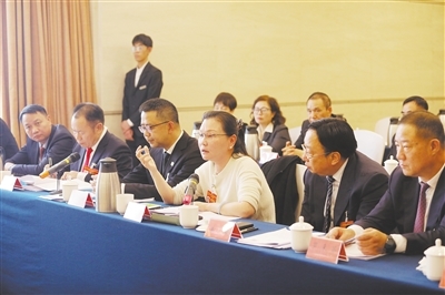 青山湖区代表团人大代表审议政府工作报告