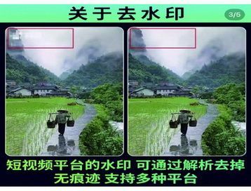 记者从社交平台及电商平台搜索发现的AI去水印服务及工具　制图　马莎