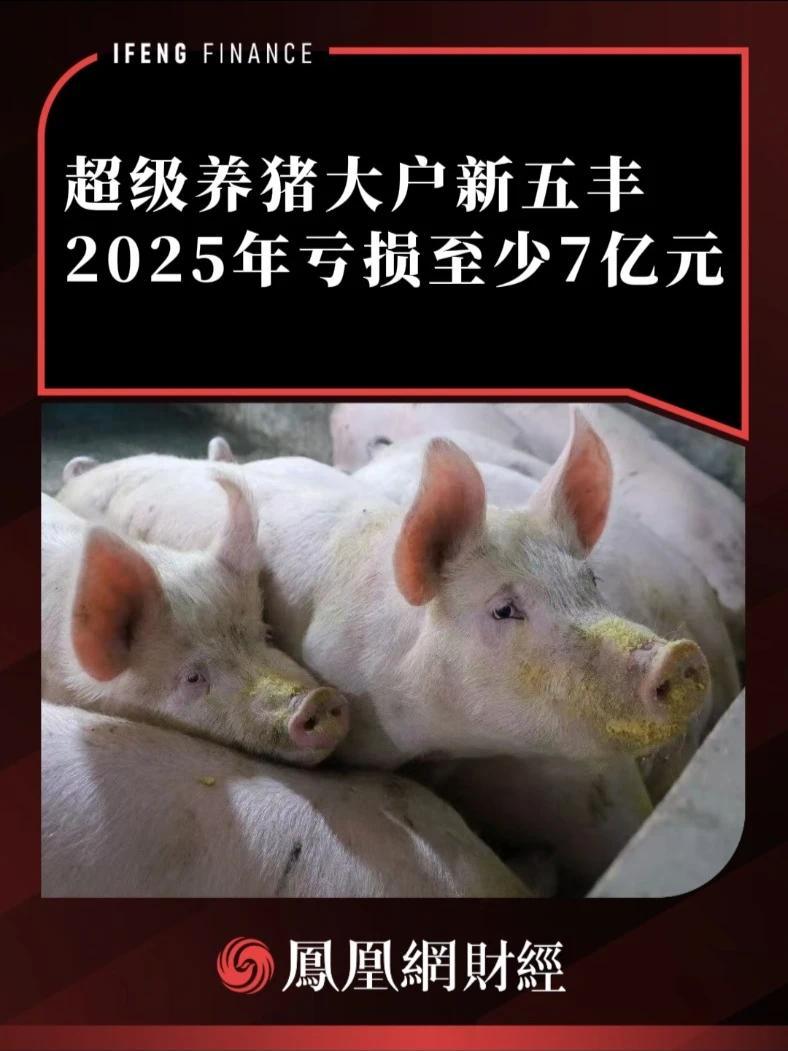 超级养猪大户新五丰，2025年亏损至少7亿元 #新五丰 #养猪 #亏损
