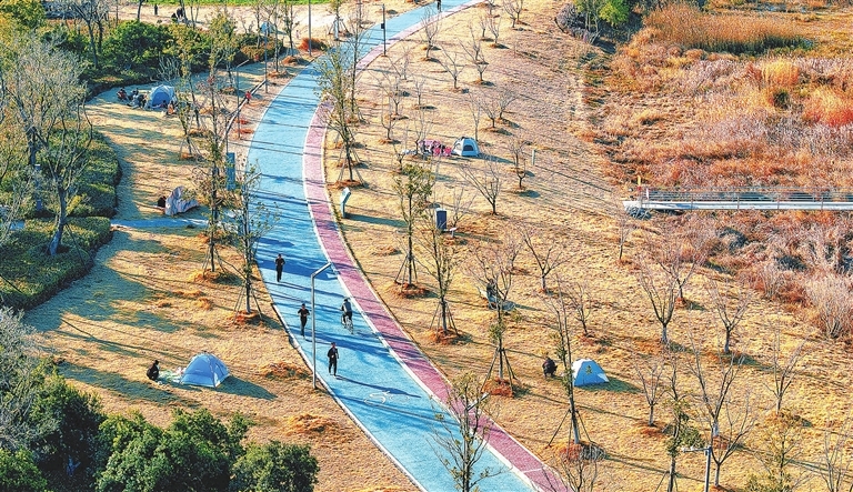 九江芳兰湖湿地公园：半湖冬彩 满园生趣（图）