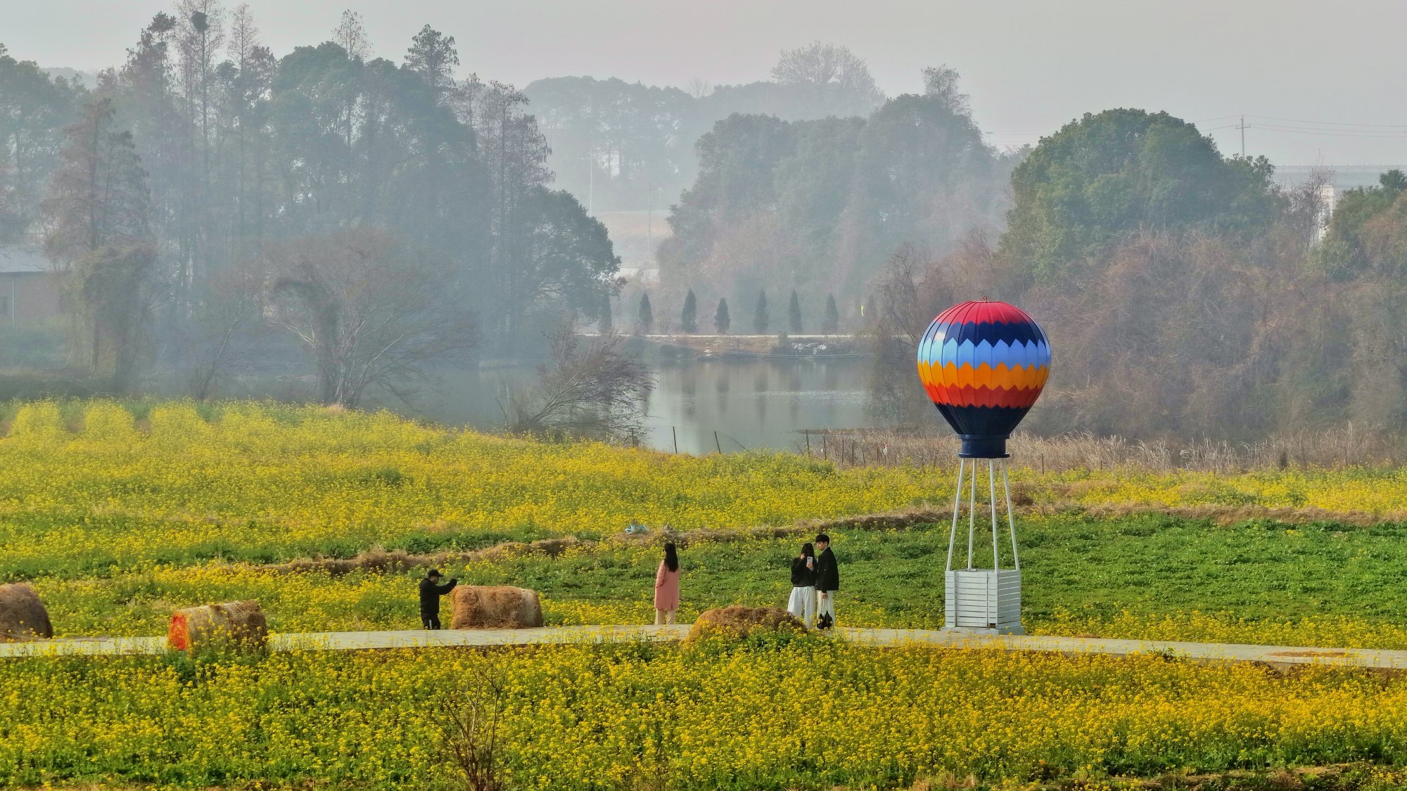 南昌县：湖陂村千亩油菜花引客来（图）