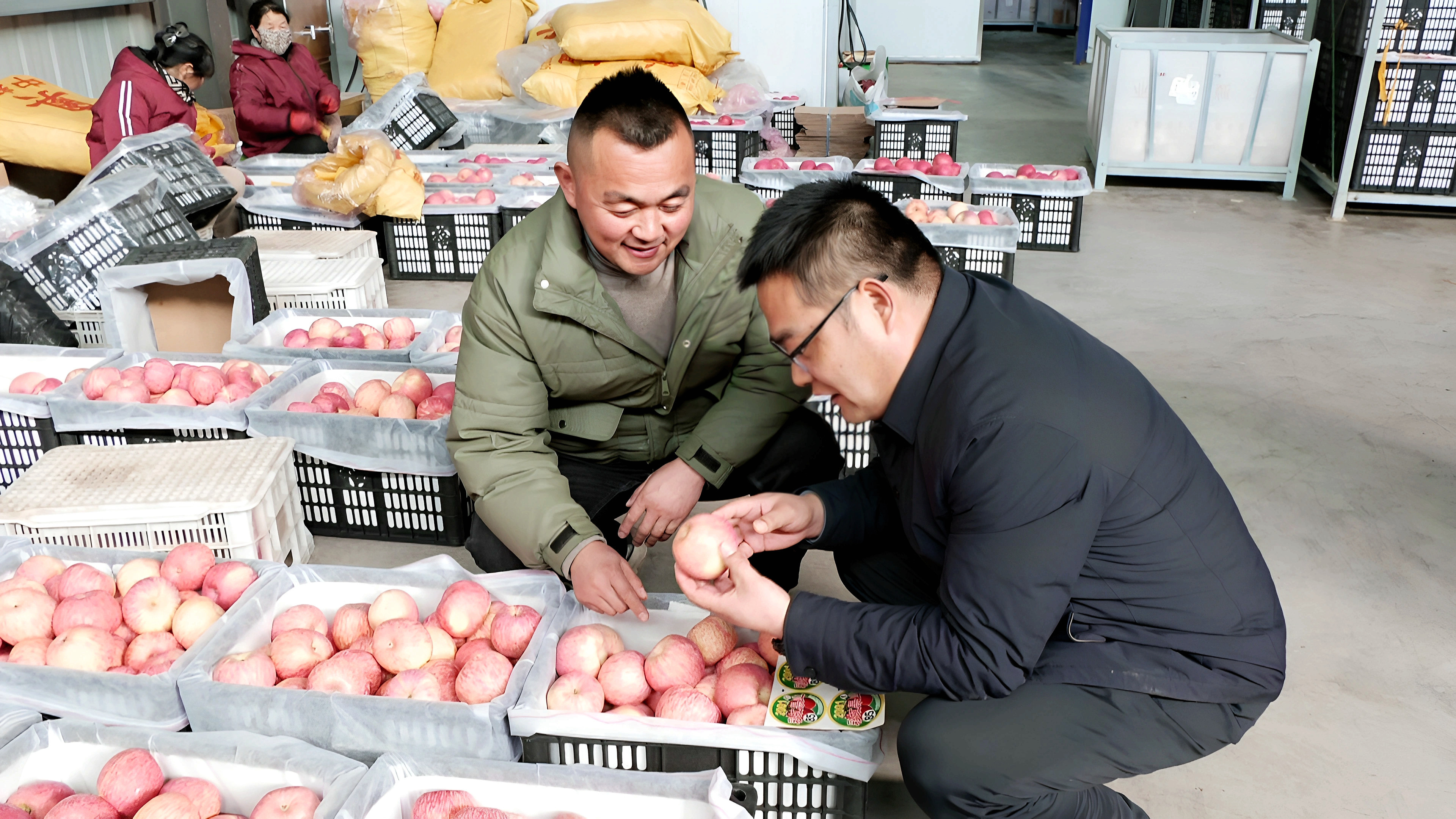 图片 (1)景岩与客商交流.jpg