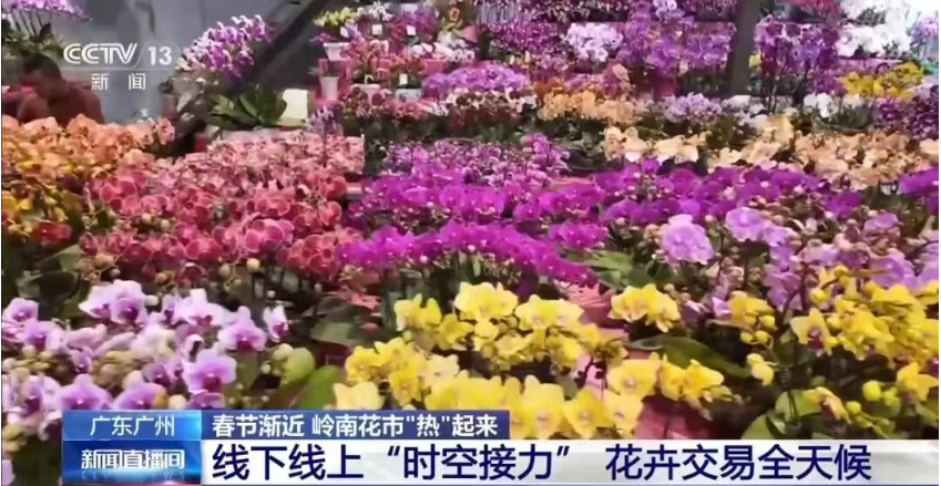 “花”样拉满！广东岭南花市，线上线下都有安排