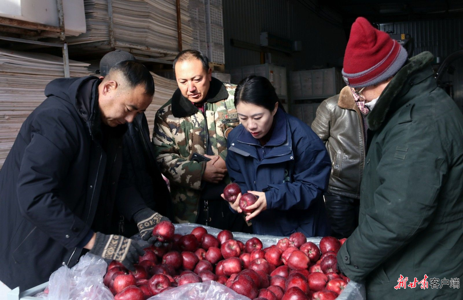 董晓梅和农户一起检查苹果质量　图片由新甘肃&middot;甘肃日报通讯员路淑娟摄