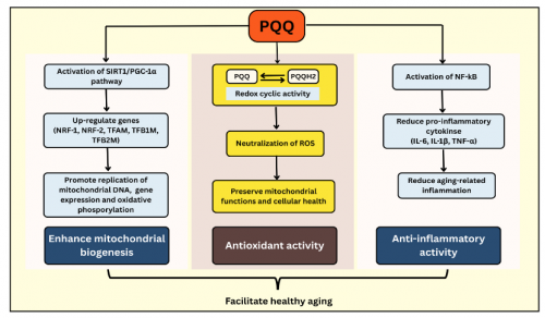 点击查看原始图片