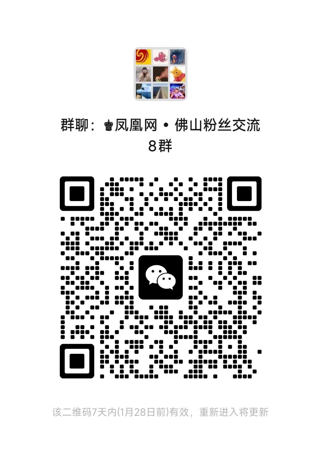 徐薇任佛山市副市长