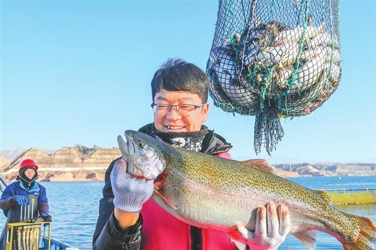 鱼儿肥美,收获满满。