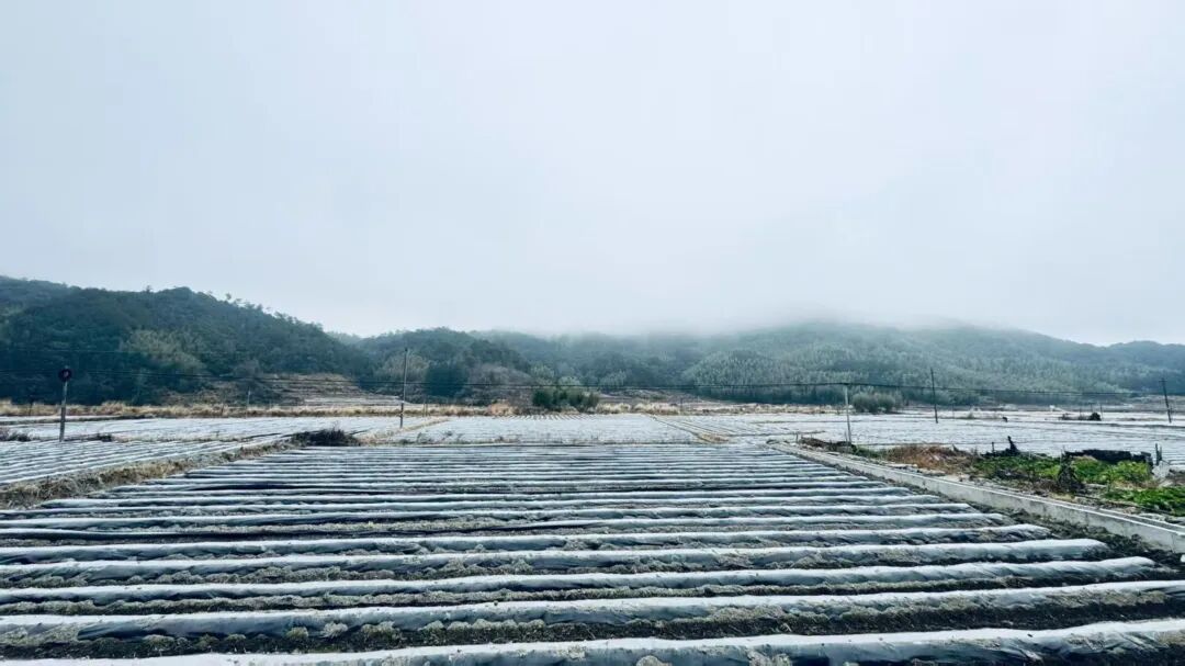 石城县高田镇新坪村