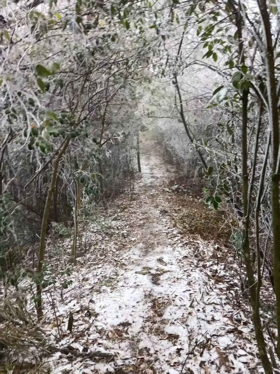 赣县田村镇瑞峰山