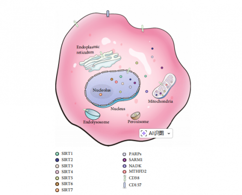 点击查看原始图片