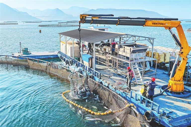 工人正在进行捕捞作业