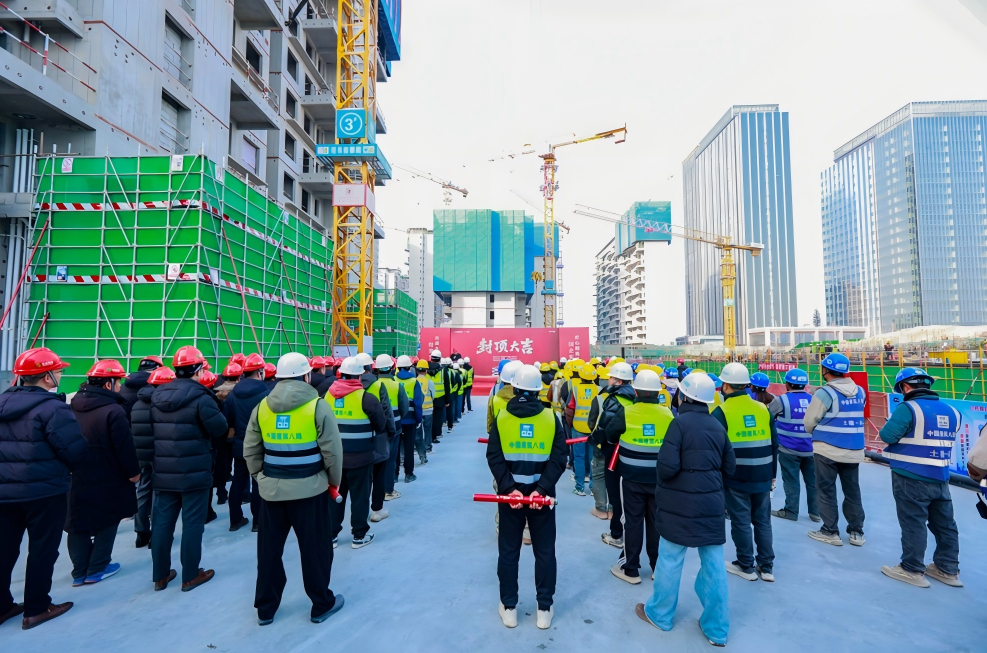 西安经开区白桦林书香项目荣耀封顶
