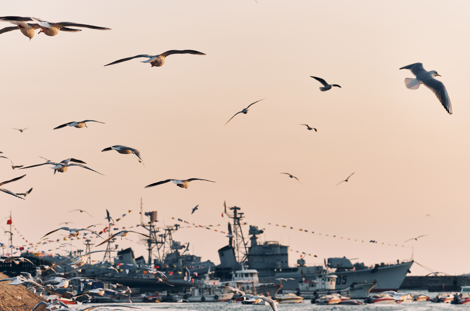 青岛一月攻略，十大网红打卡地开启冬日限定浪漫