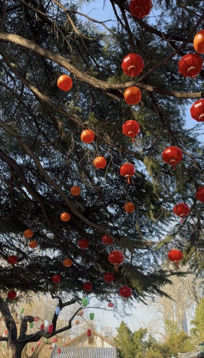 继“湖畔雨荷”之后,“趵突泉辛弃疾”又将亮相