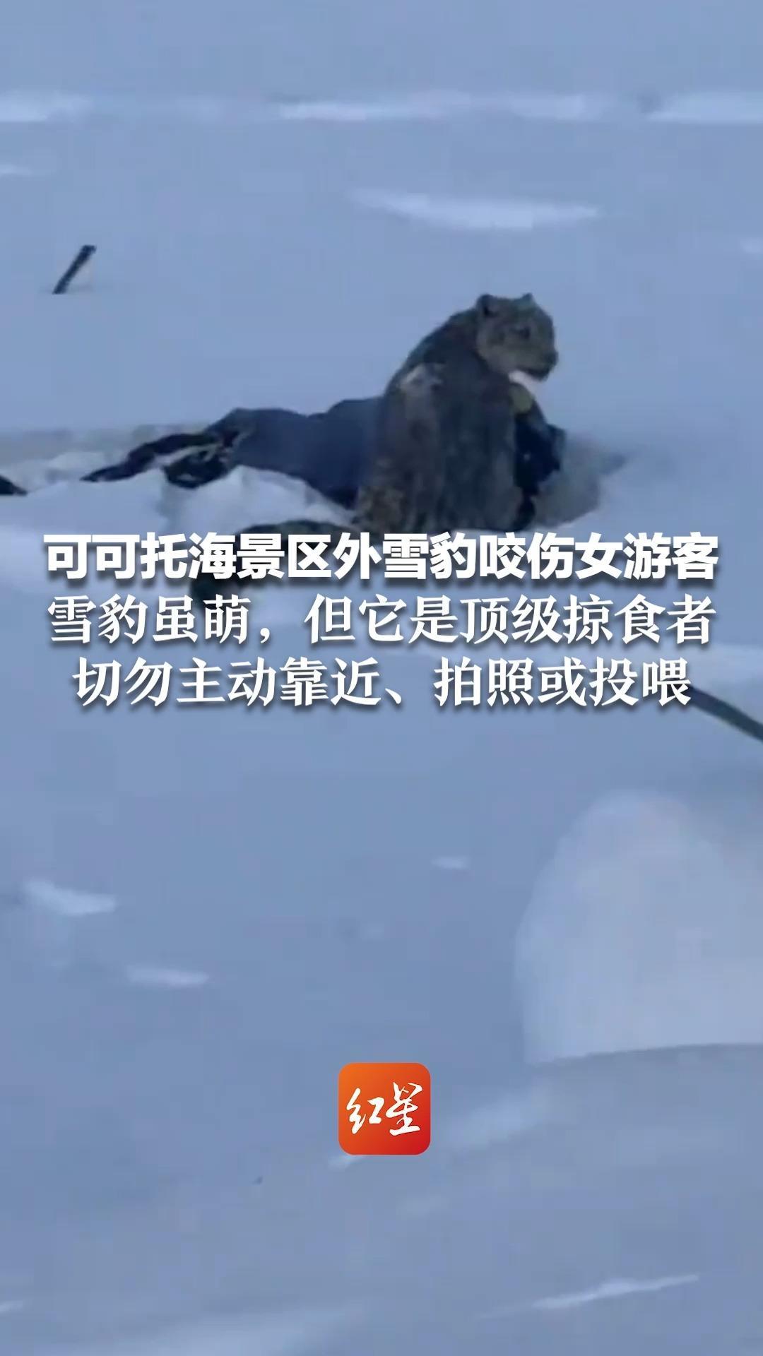 可可托海景区外雪豹咬伤女游客 当地前两天拍到雪豹并发出警告 雪豹虽萌，但它是顶级掠食者 切勿主动靠近、拍照或投喂