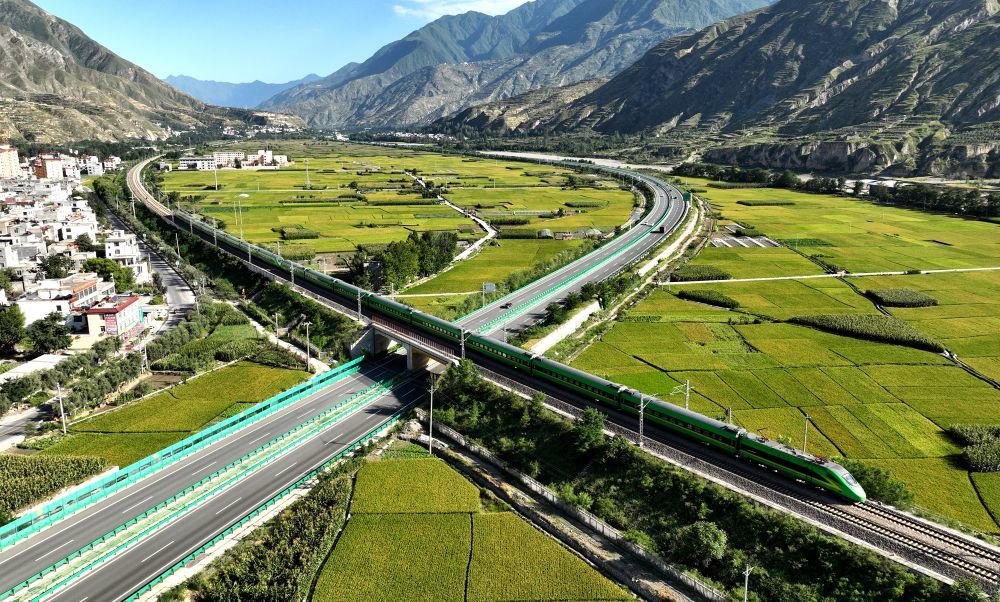 2025年8月31日,在甘肃省陇南市武都区角弓镇,一列动车组旅客列车从水稻田中疾驰而过。冉创昌 摄