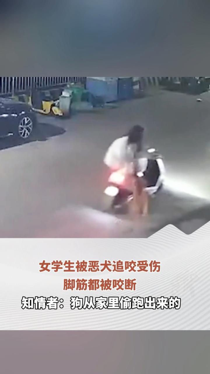 女学生被恶犬追咬受伤 脚筋都被咬断 知情者：狗从家里偷跑出来的