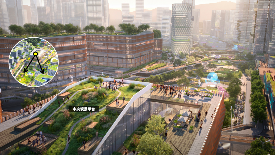 多家央媒聚焦！市中心！高铁旁！深圳将崛起30公顷“生态智谷”