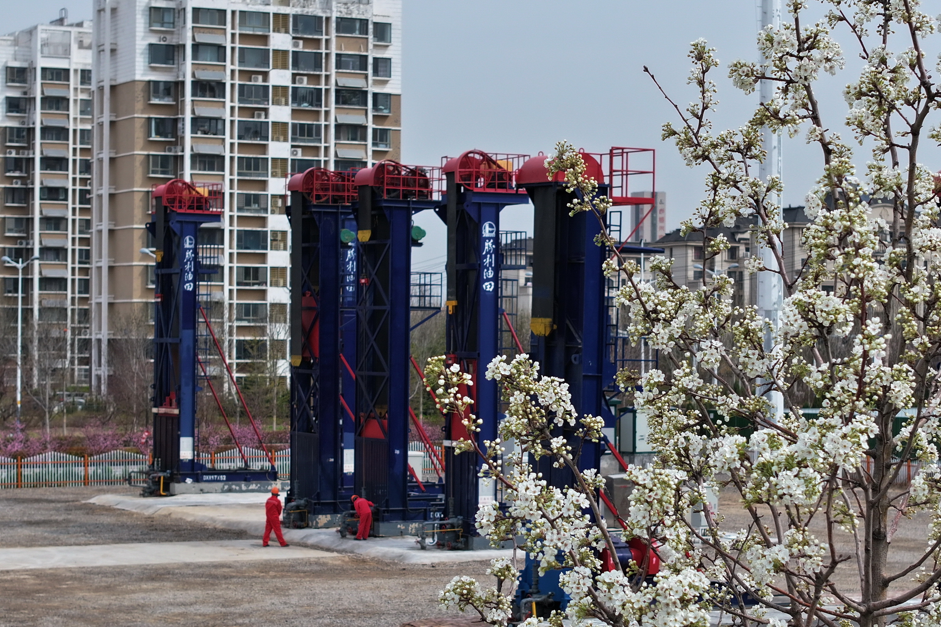 胜利油田东辛采油厂:生态优先绘东辛底色