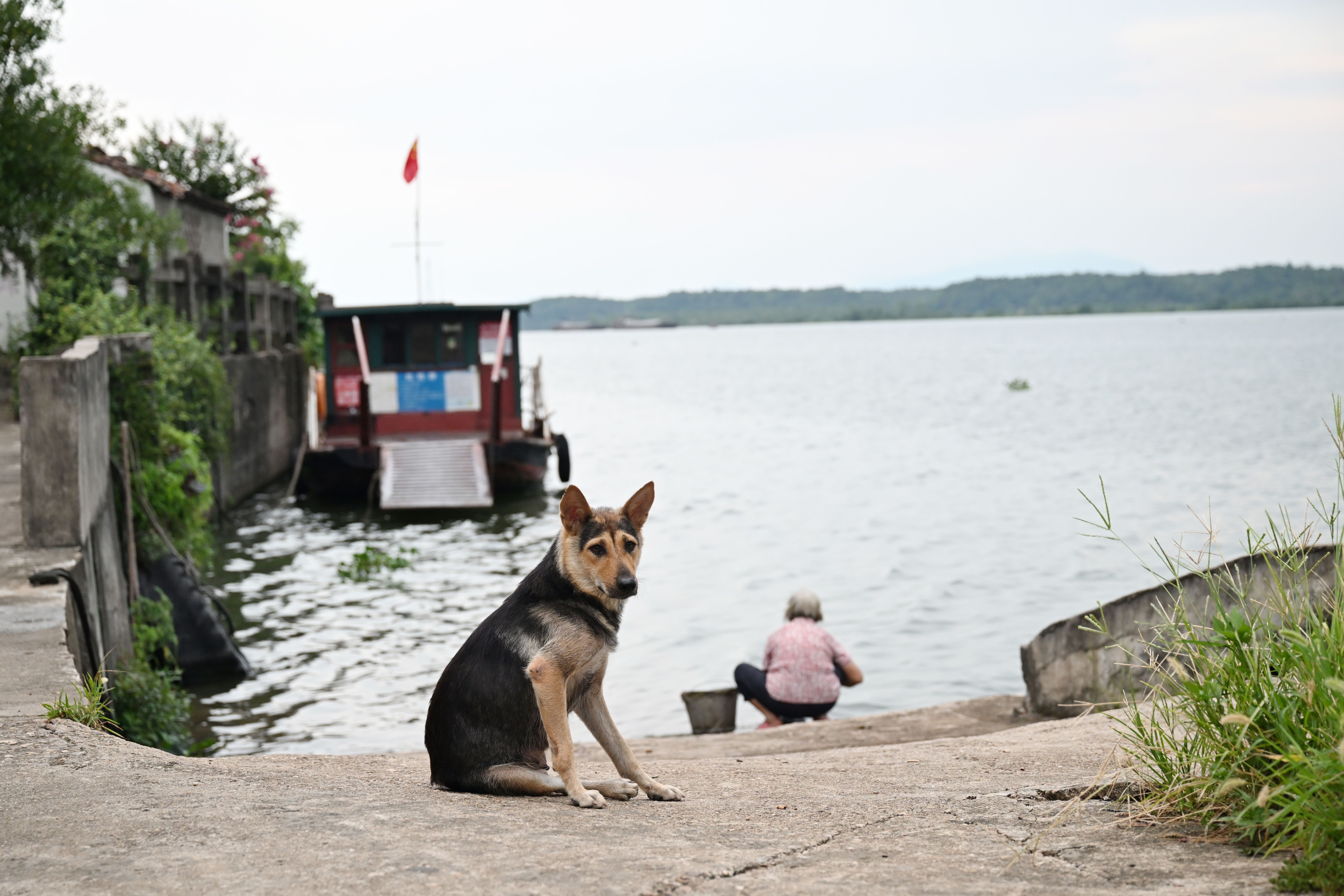 ▲2025年7月30日,泰和县沿溪渡口,“野渡无人舟自横”。