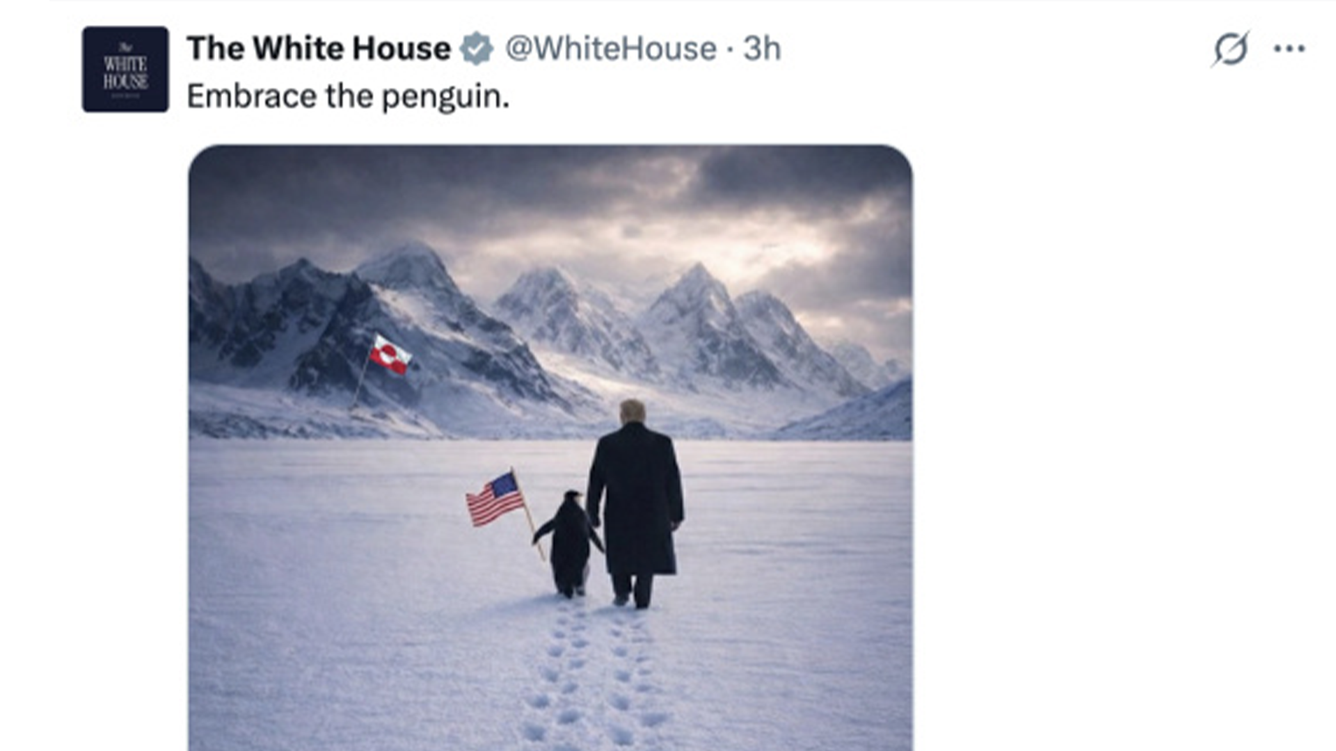 白宫发特朗普在格陵兰岛牵企鹅AI图，美国网民被“气笑了”：白痴，格陵兰岛根本没有企鹅啊
