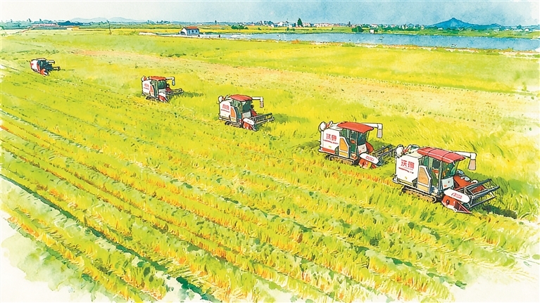 鄱阳县连续16年产粮超20亿斤，全国超级产粮大县如何坐稳地位？