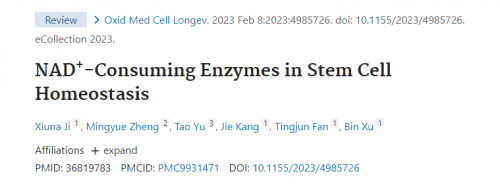 点击查看原始图片