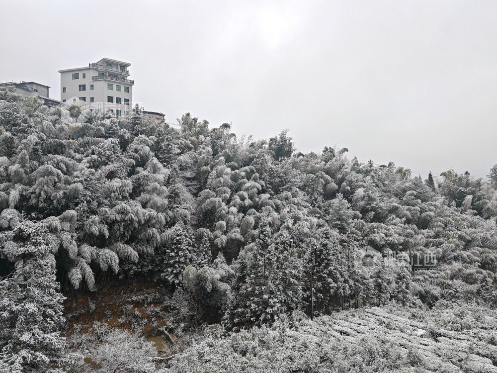 2026年1月21日，江西省遂川县高坪、营盘圩等山区乡镇，黛山、屋舍、田垄皆覆素白，宛如水墨画卷。