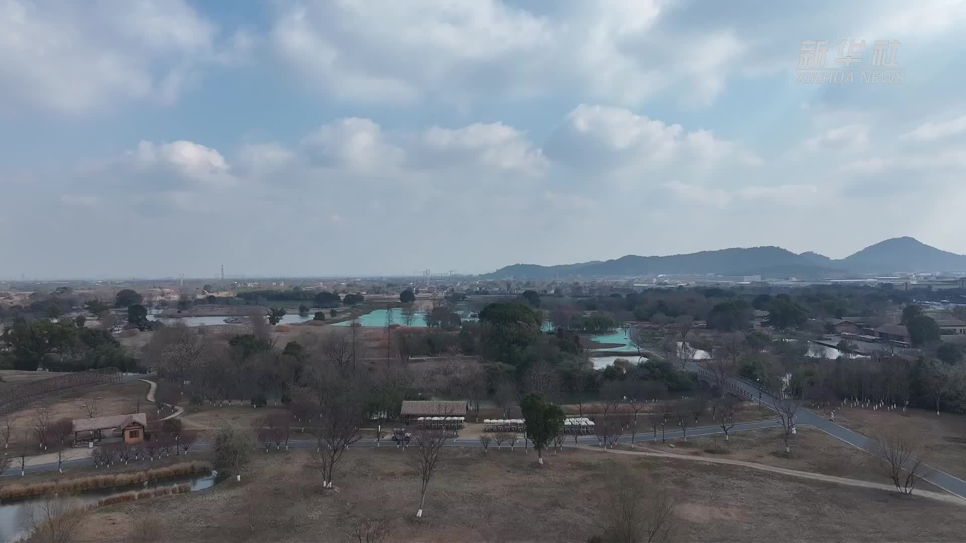 杭州良渚古城迎早梅绽放 吸引游客寻芳赏景