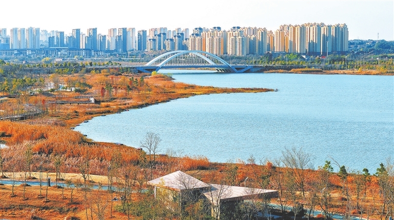 九江芳兰湖湿地公园：半湖冬彩 满园生趣（图）
