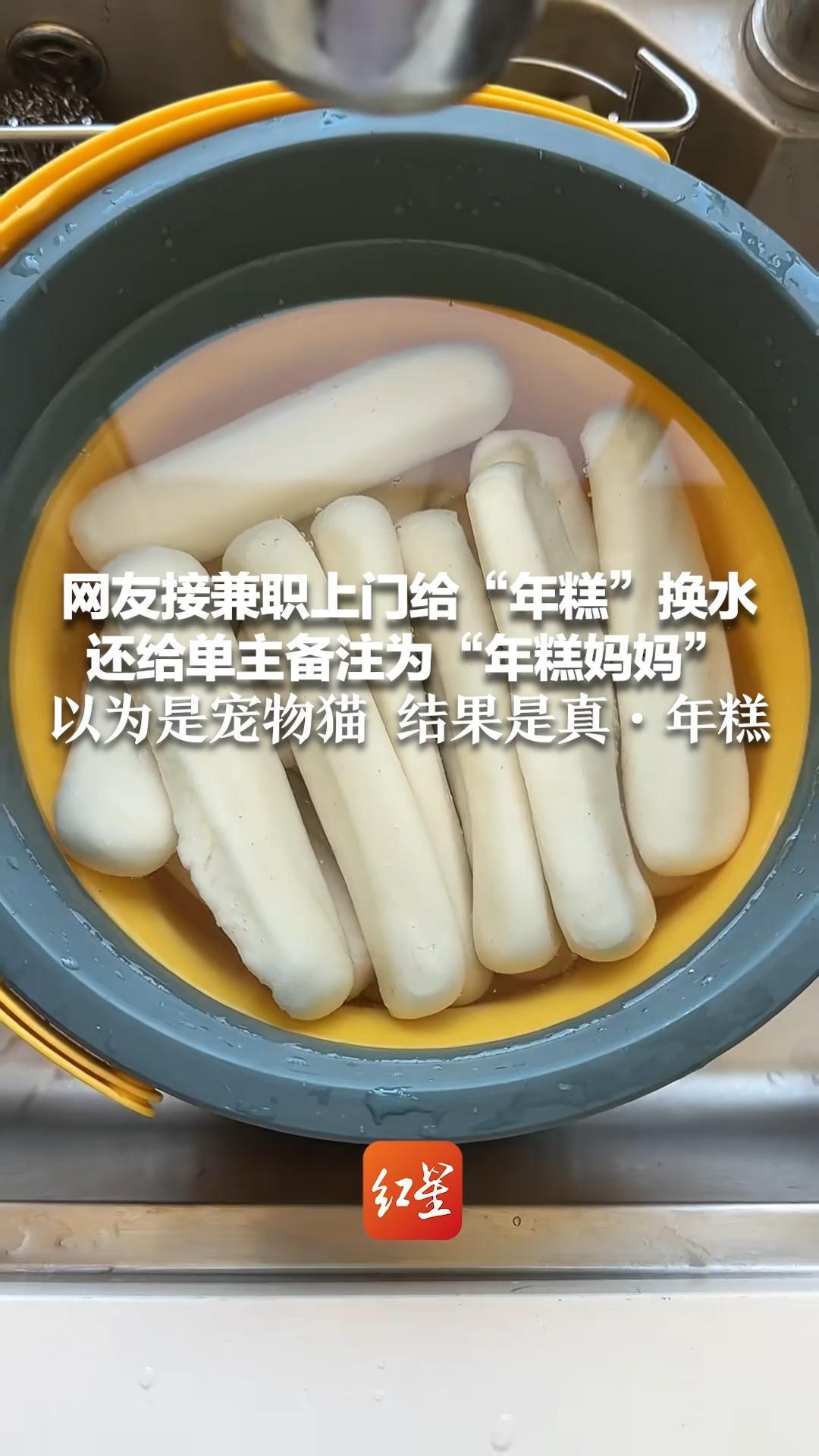 网友接兼职上门给“年糕”换水 还给单主备注为“年糕妈妈”以为是宠物猫 结果是真·年糕 评论区科普：年糕是浙江人的水养宠物