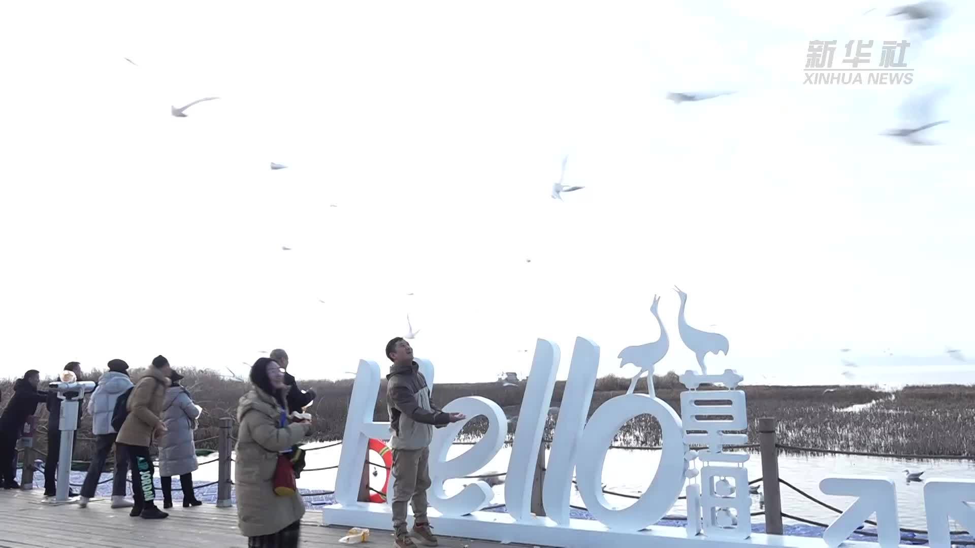 贵州威宁举行草海观鸟竞赛 共观测记录鸟类152种