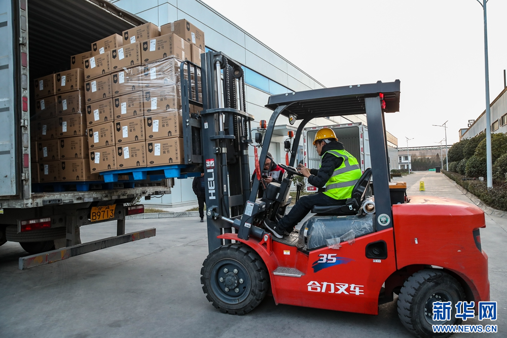 1月15日，在甘肃省陇南市徽县的甘肃兆丰农业开发有限责任公司，叉车工人将出口沙特阿拉伯的一批豆制品转运装车。新华社记者　郎兵兵　摄