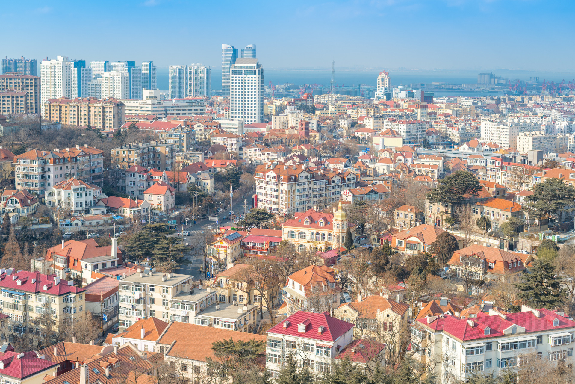 因地制宜 青岛西海岸、莱西2处古树公园建成开放