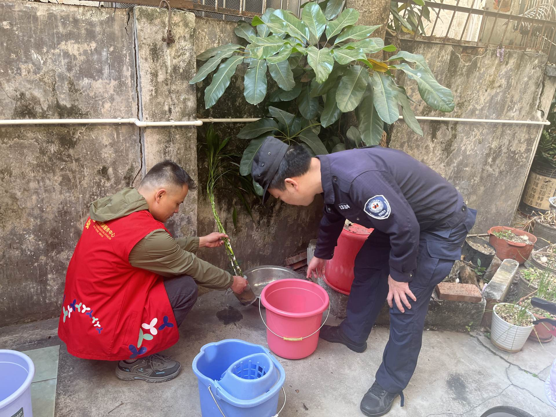 岁末除四害 全民齐参与！宝安西乡乐群社区掀起冬春季爱国卫生运动热潮