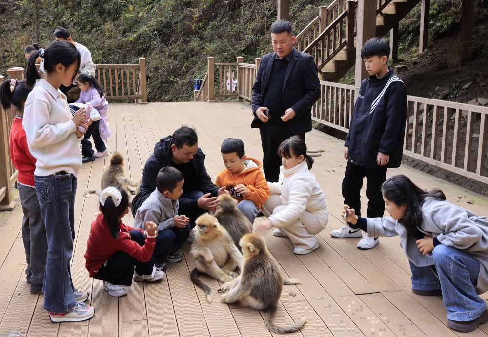 2025年11月15日,在大熊猫国家公园甘肃片区裕河园区金丝猴科普教育基地,儿童在家长陪伴下观看金丝猴。冉创昌 摄