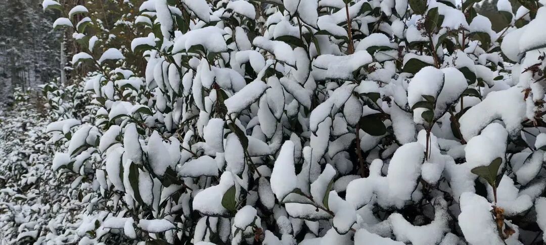 石城县高田镇新坪村