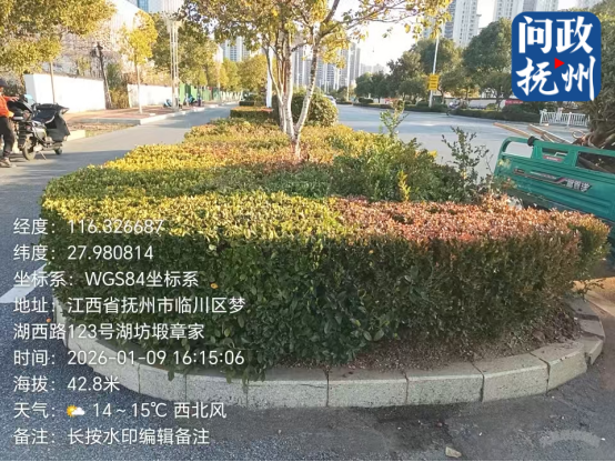 ▲图片由部门提供