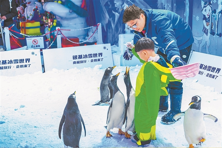 郑州银基冰雪世界里孩子与企鹅亲密互动。 郑州银基冰雪世界供图