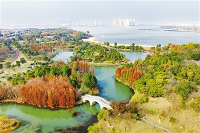 南昌瑶湖公园宛如油画（图）