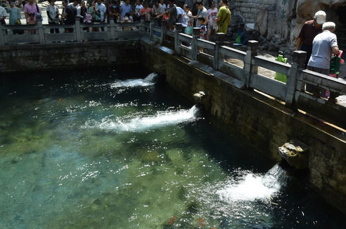 游客在观赏喷涌的济南市黑虎泉。新华社记者 徐速绘 摄
