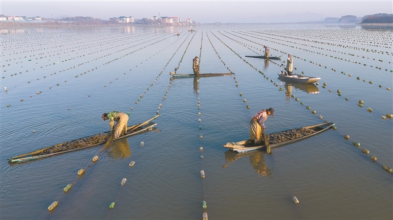 都昌县：特色产业促增收（图）