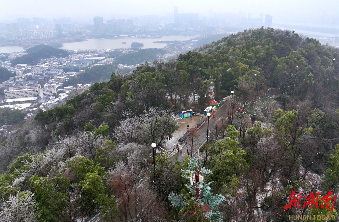 岳麓山初雪。湖南日报全媒体记者 赵持 摄
